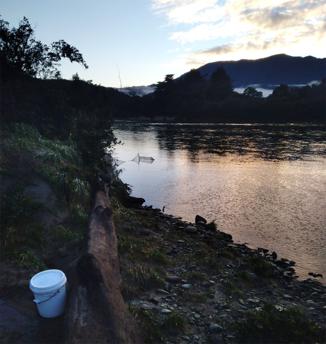 An idyllic scene alongside a calm river, with a whitebait net set up and a white bucket nearby