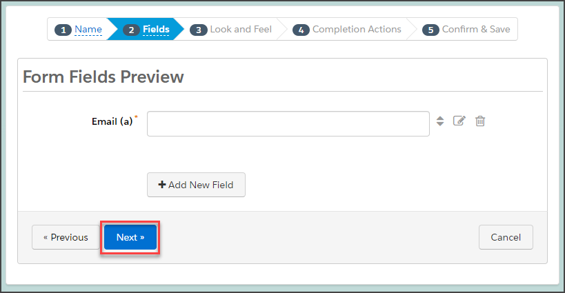 Click Next with only the Email field remaining on the form