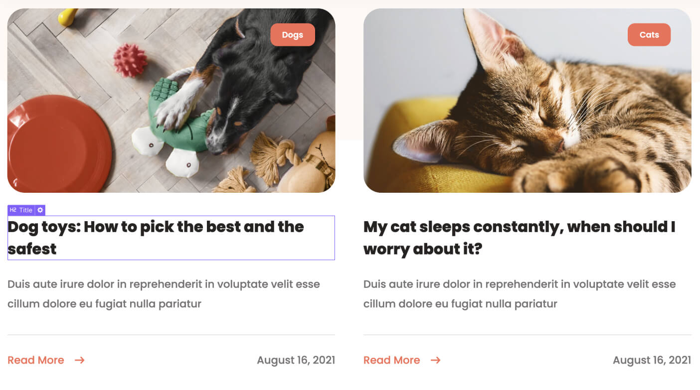 Top view of a dog with toys on the left and a close-up of a sleeping cat on the right.