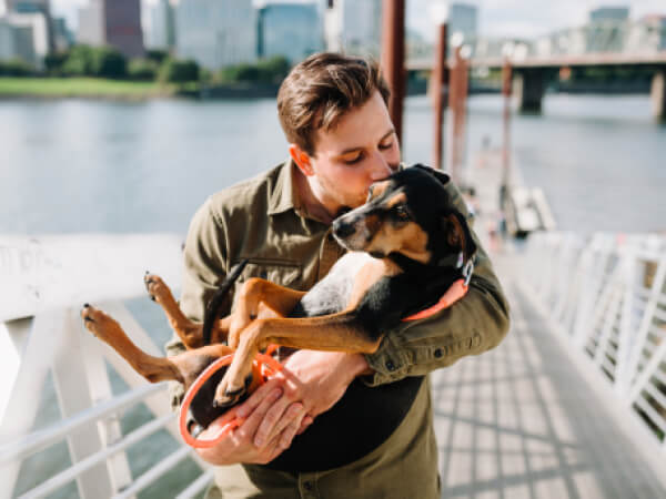 Man holding and kissing a black and brown dog on a sunny waterfront pier with city buildings in background.
