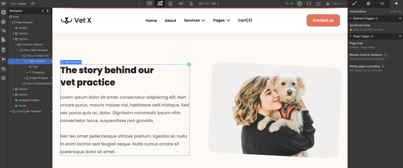 Webpage showing vet practice story text with a woman holding a small dog on the right side.