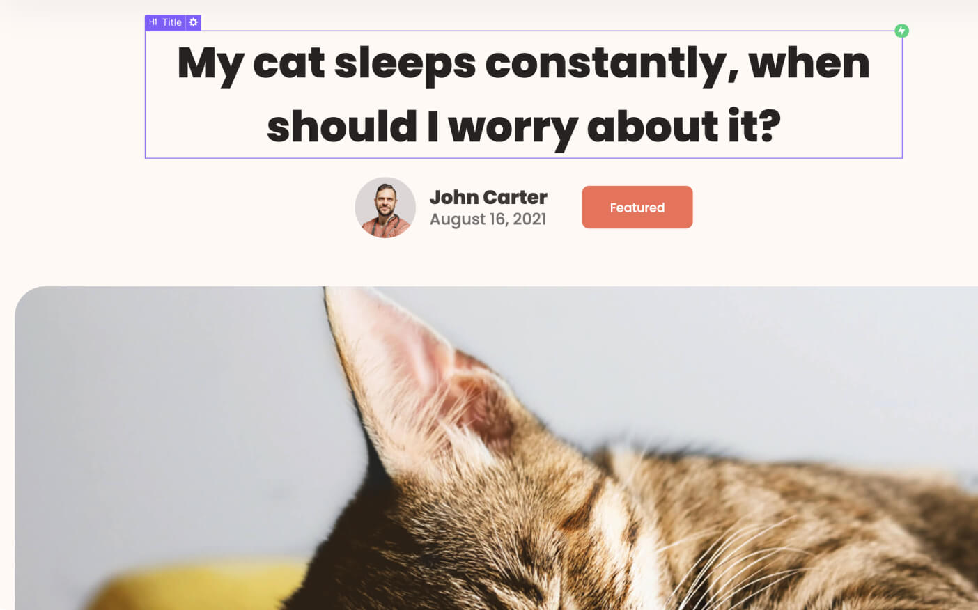 Partial image of a sleeping tabby cat with ear visible below text about cat sleep concerns.