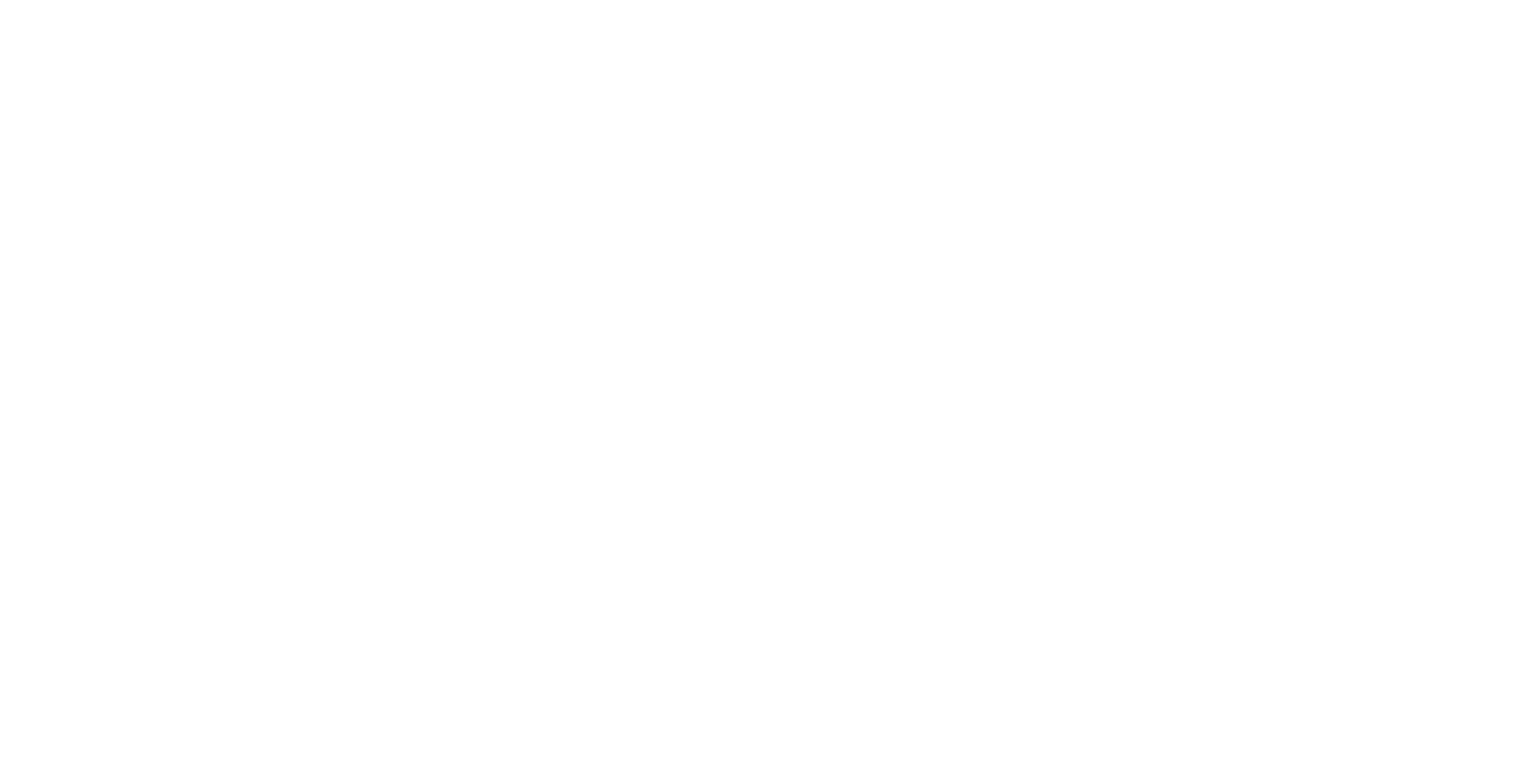 Media Partner