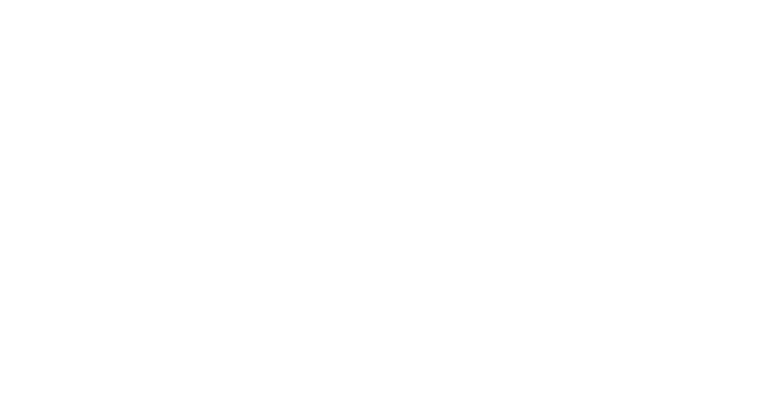 Media Partner