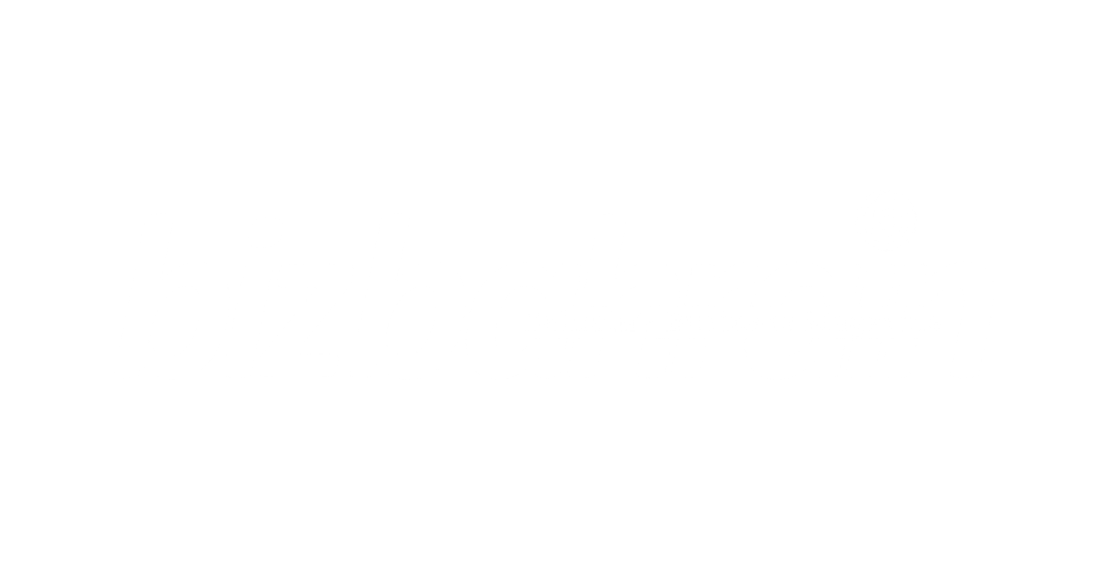 Media Partner