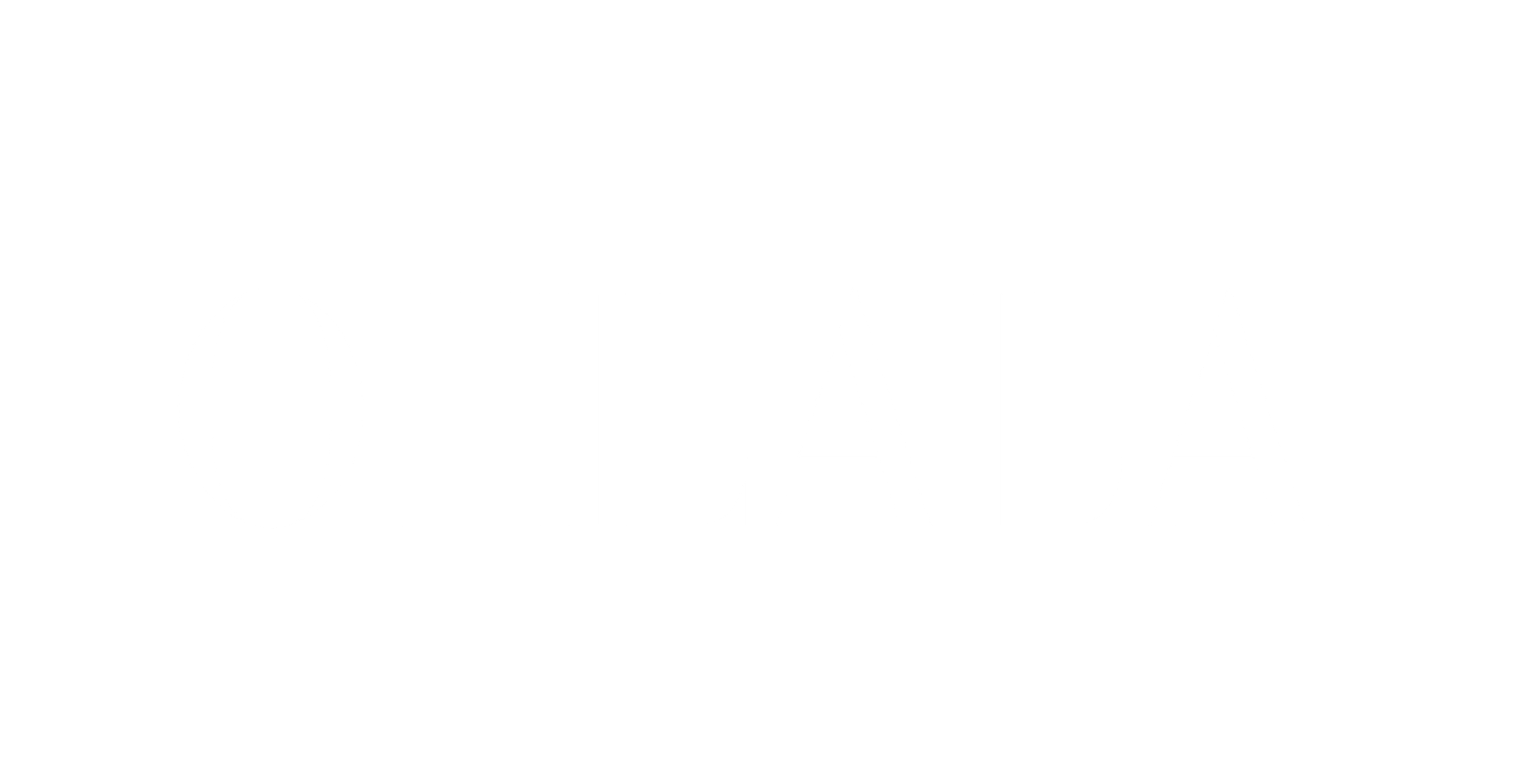 Media Partner