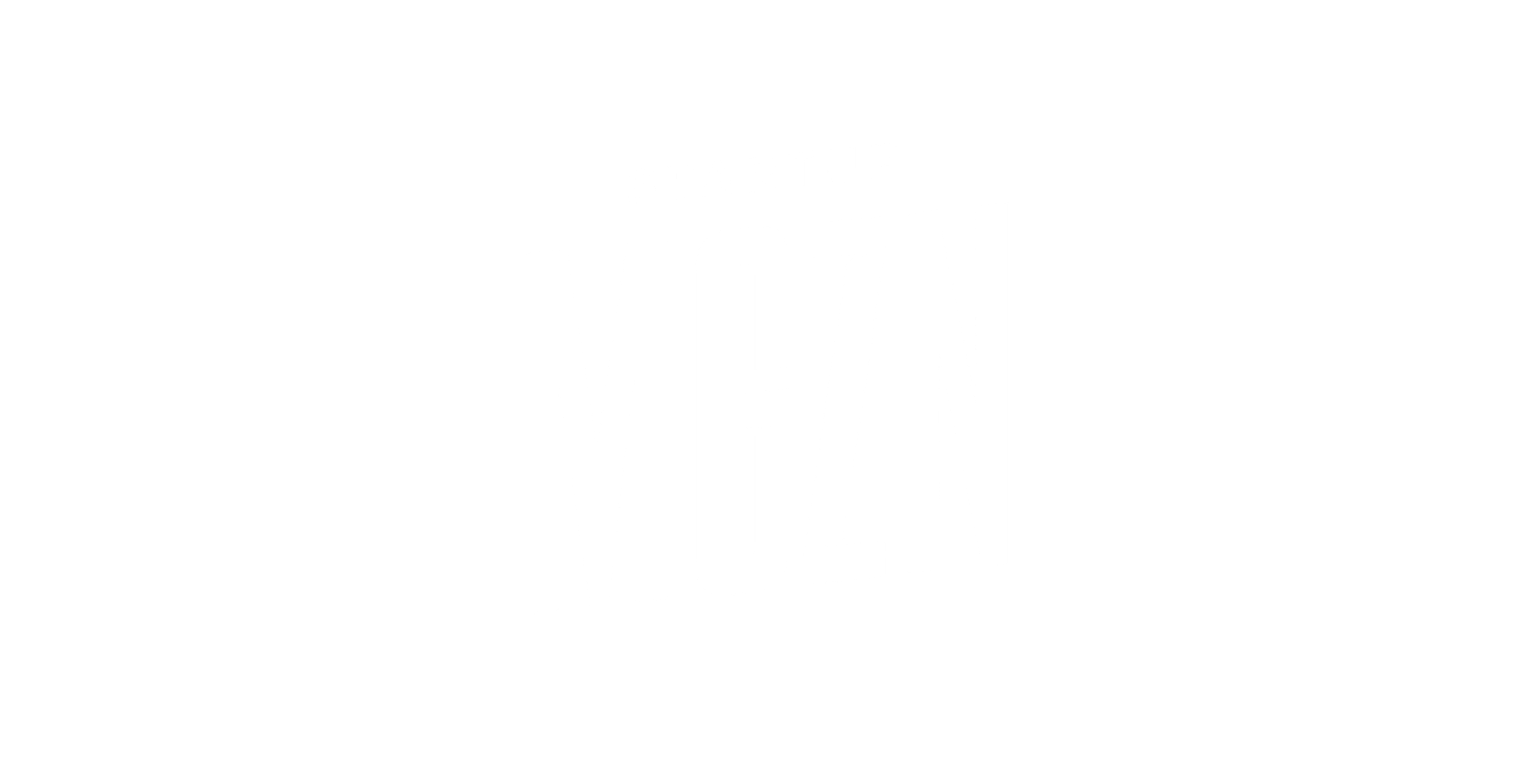 Media Partner