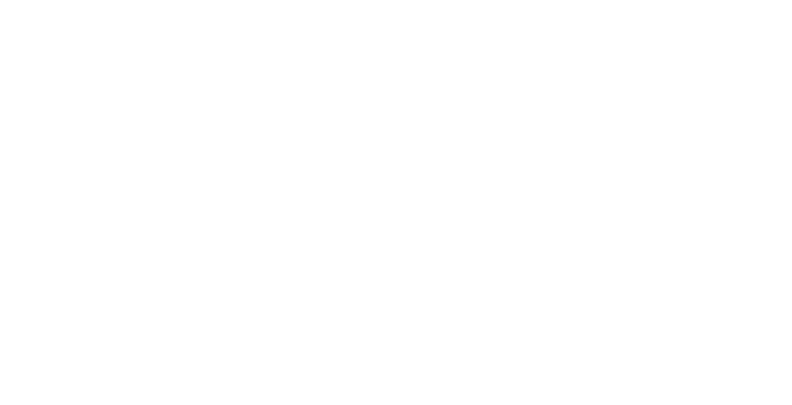 Media Partner