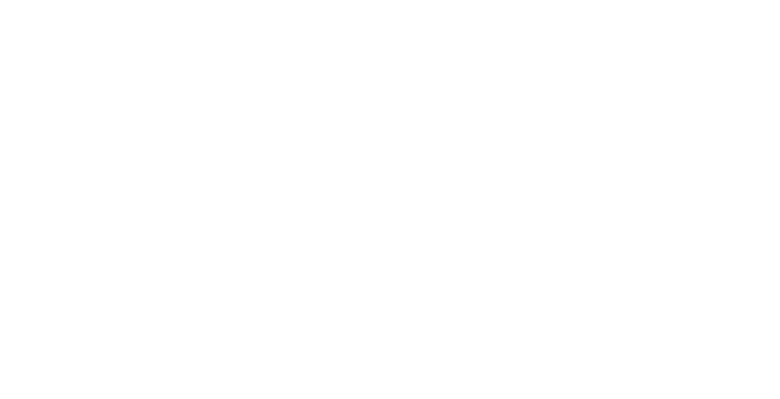 Media Partner