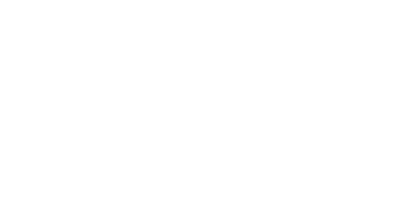 Media Partner