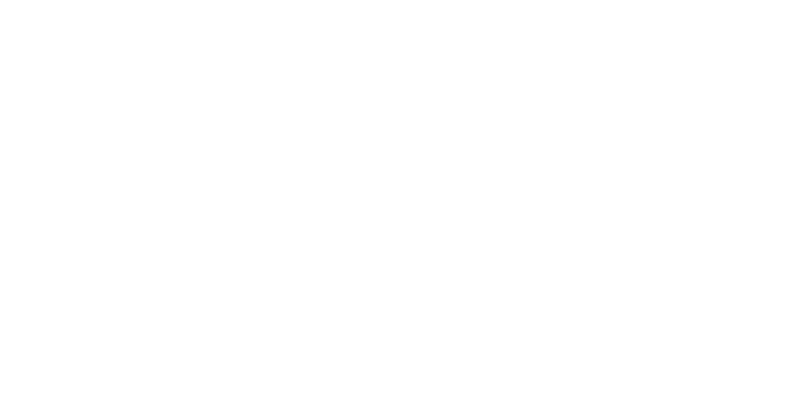 Media Partner
