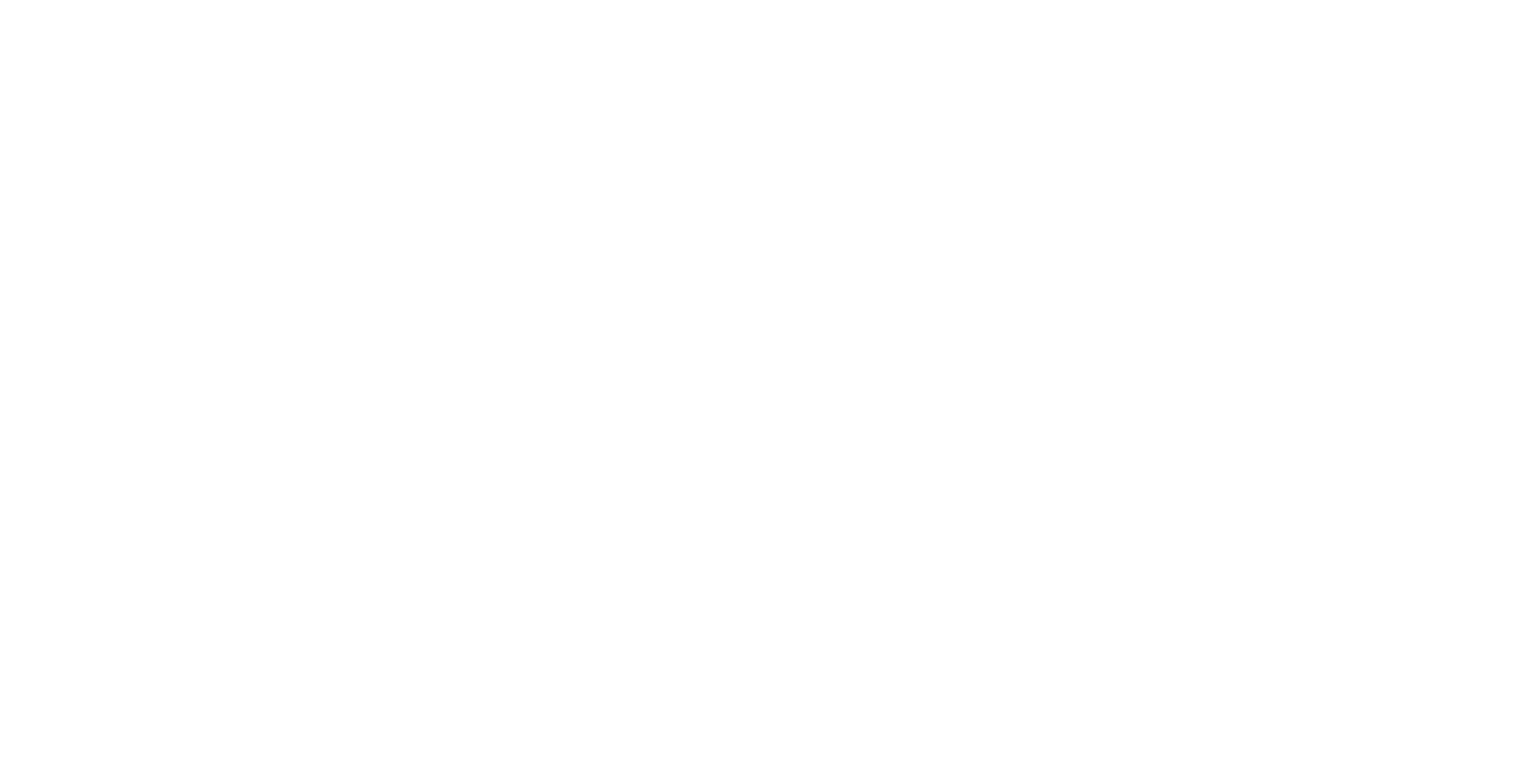 Media Partner