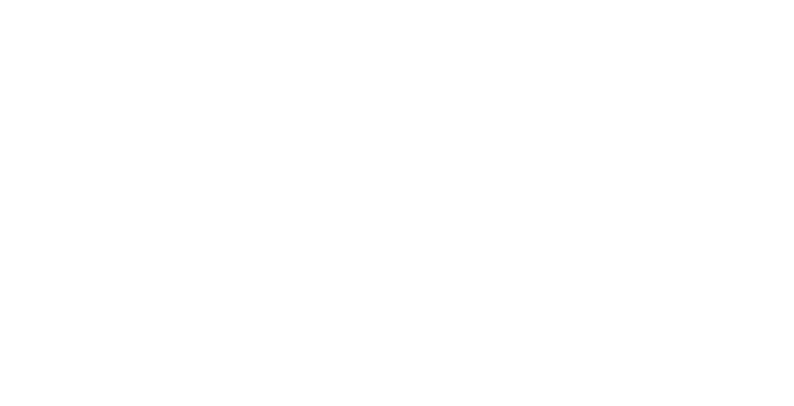 Media Partner