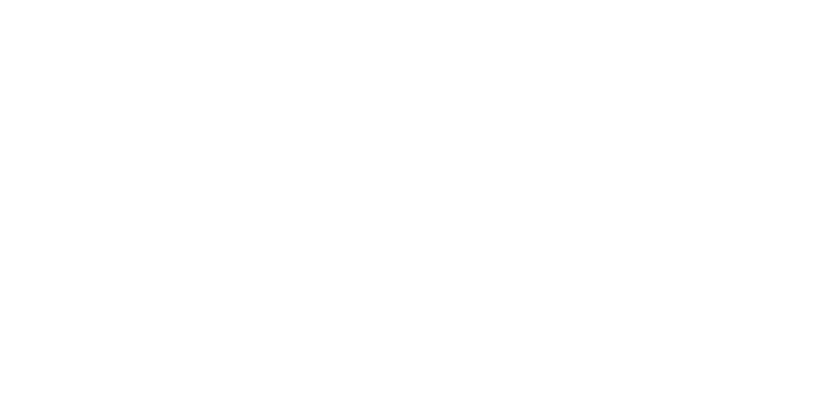 Media Partner