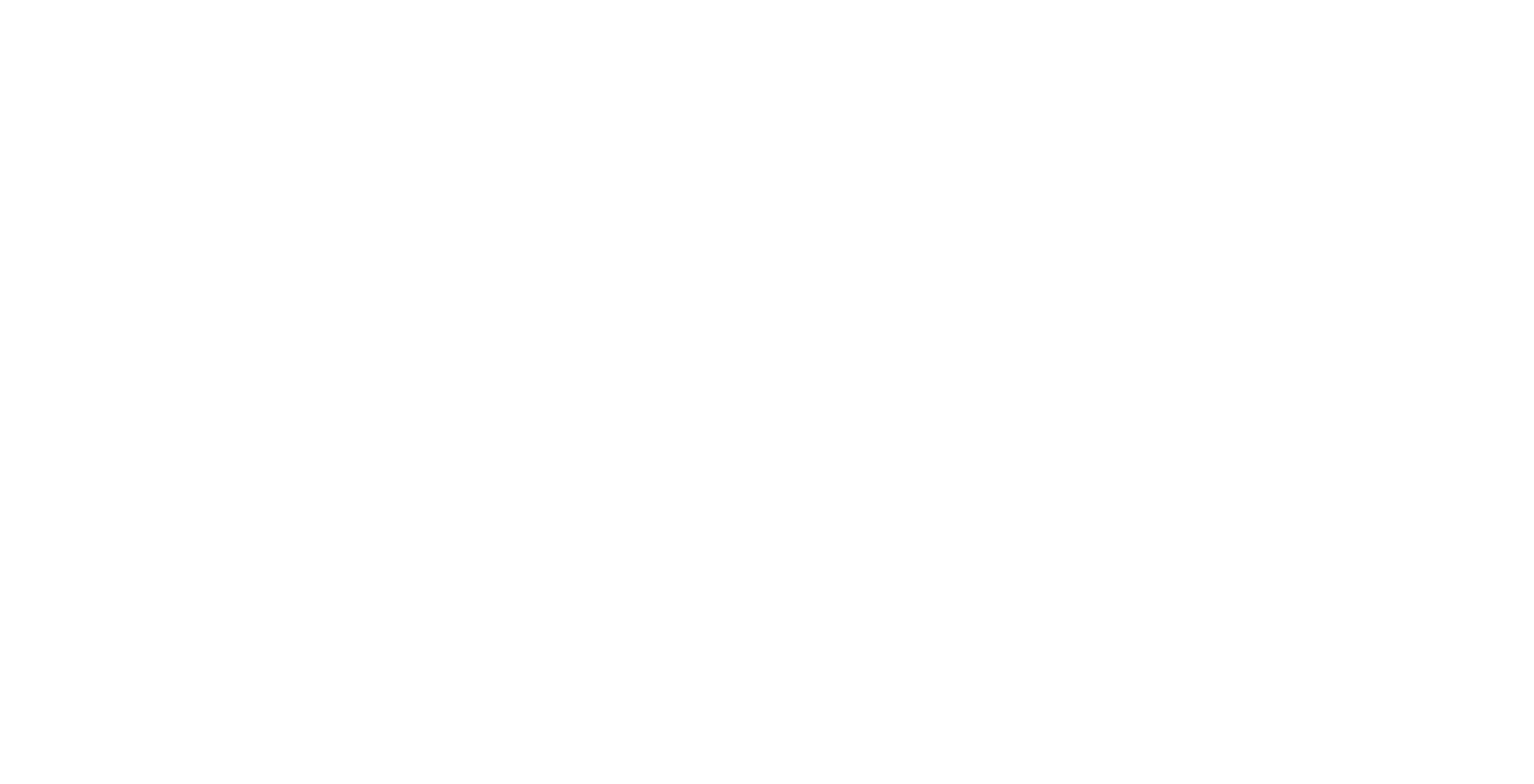Media Partner