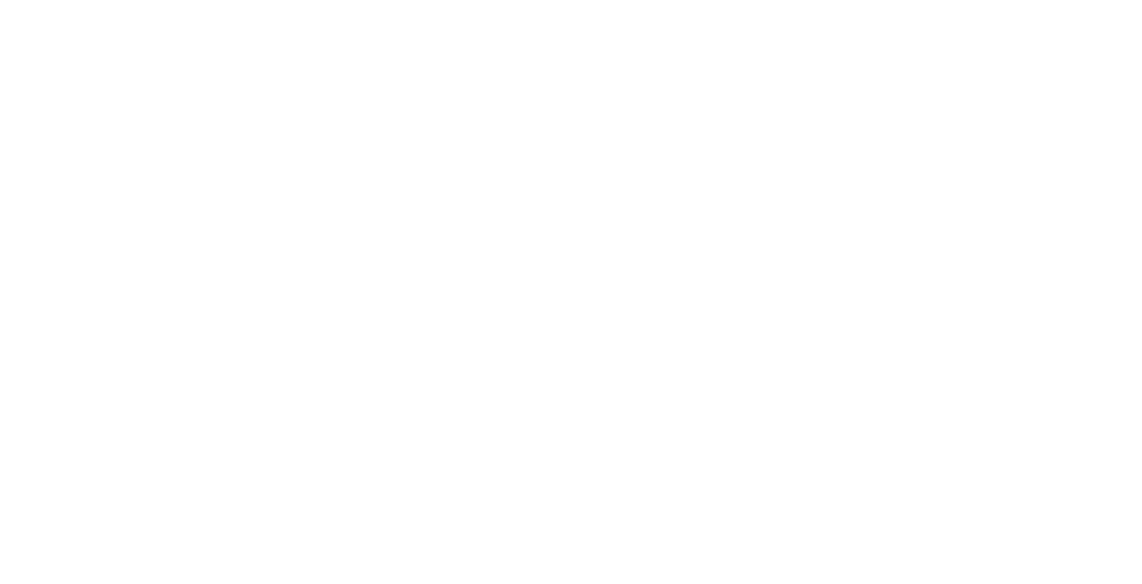 Media Partner