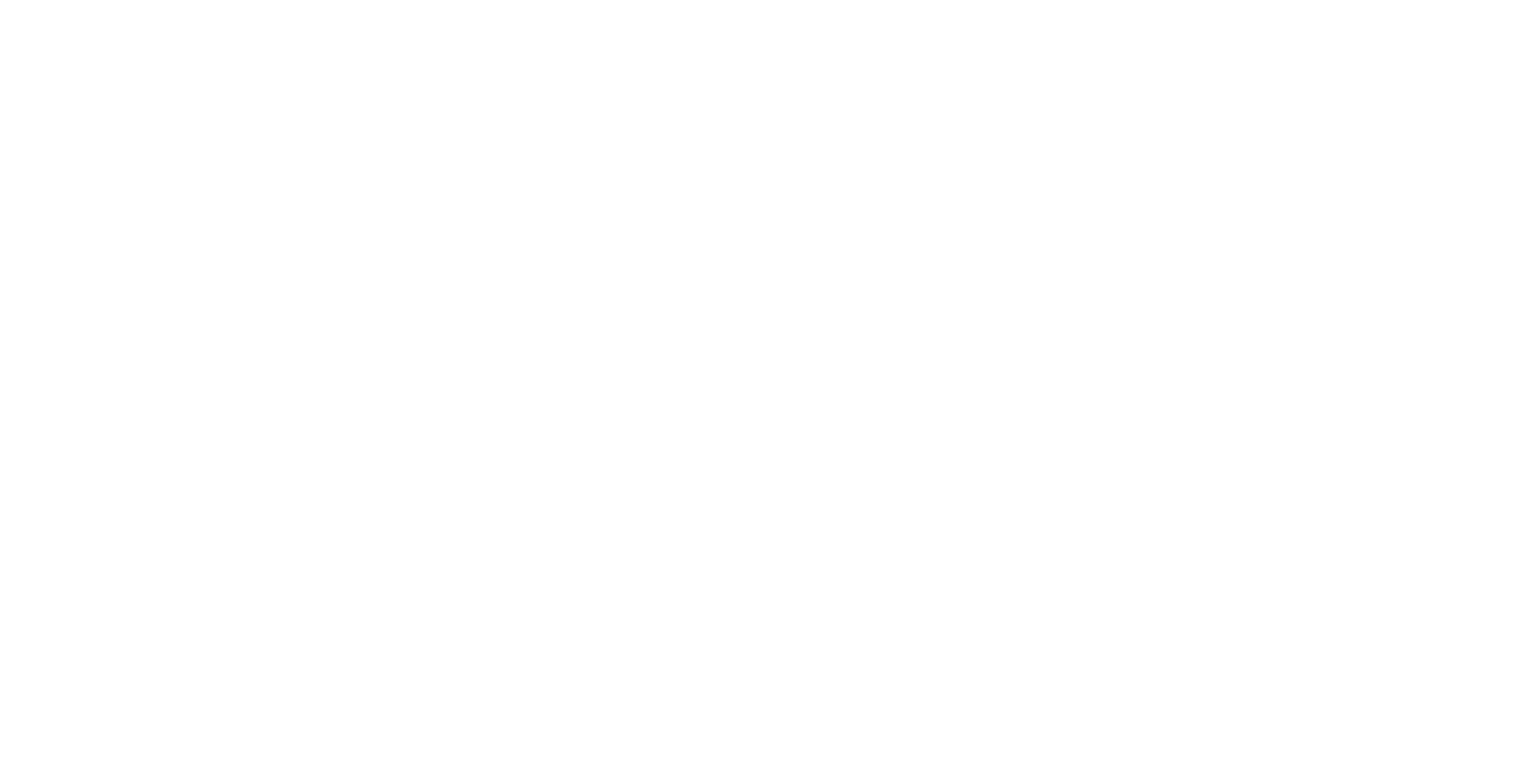 Media Partner