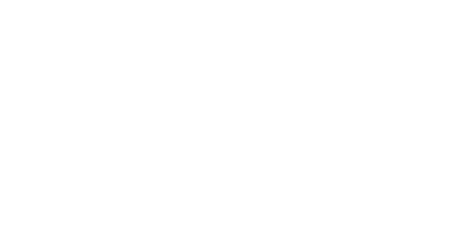 Media Partner