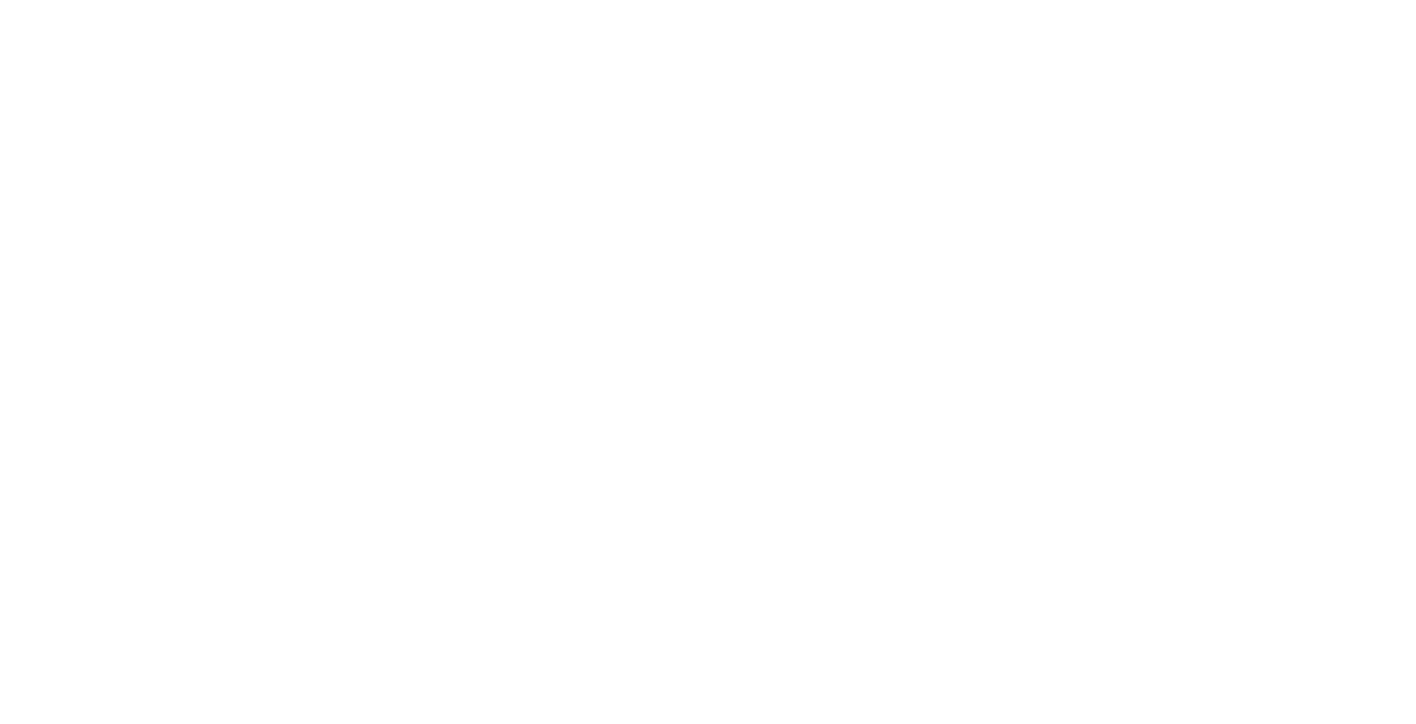 Media Partner