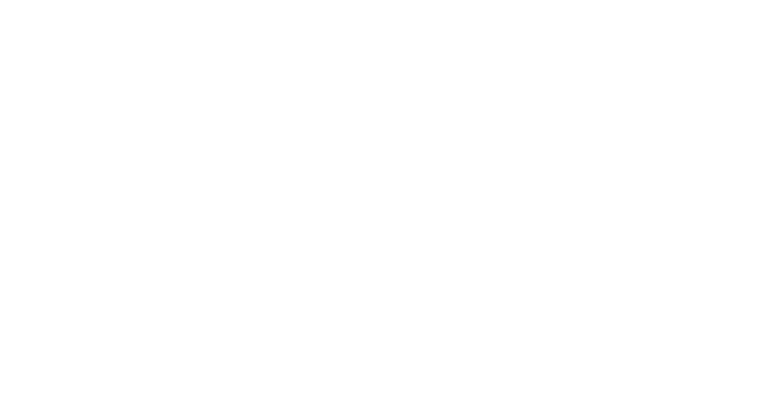 Media Partner