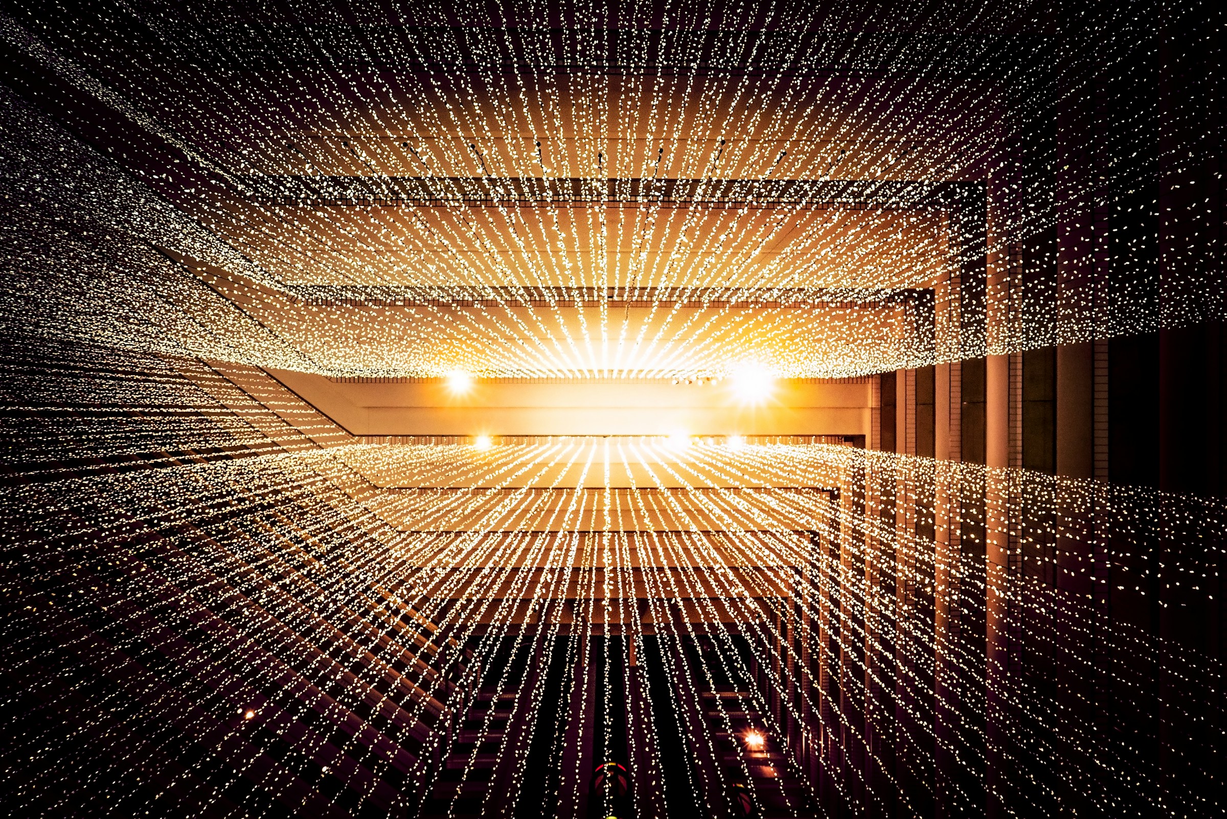 Security 101: Safeguarding Your Data