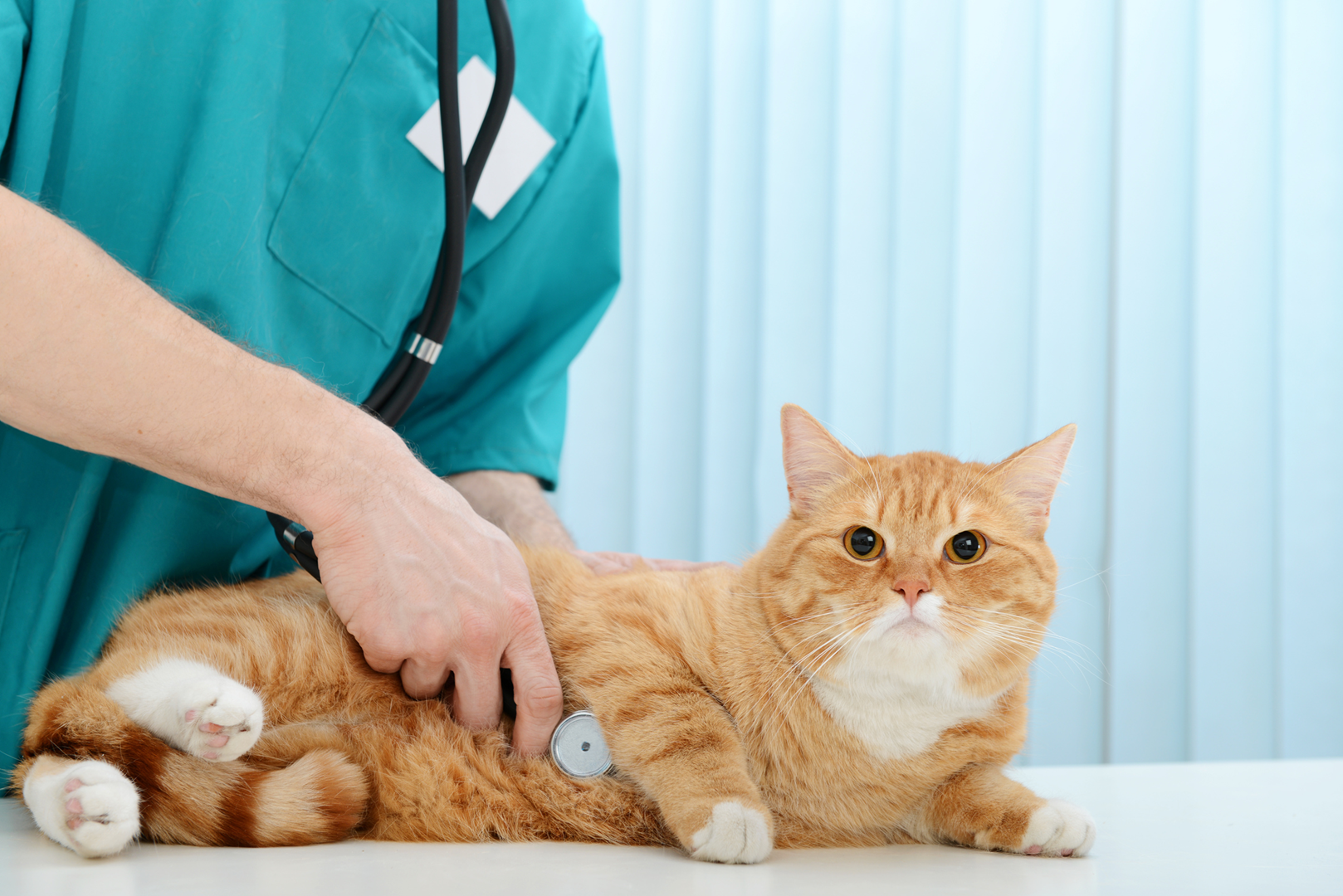 Nursing Patients With Congestive Heart Failure