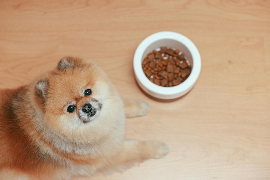 Practical Tips for Placing and Managing Feeding Tubes