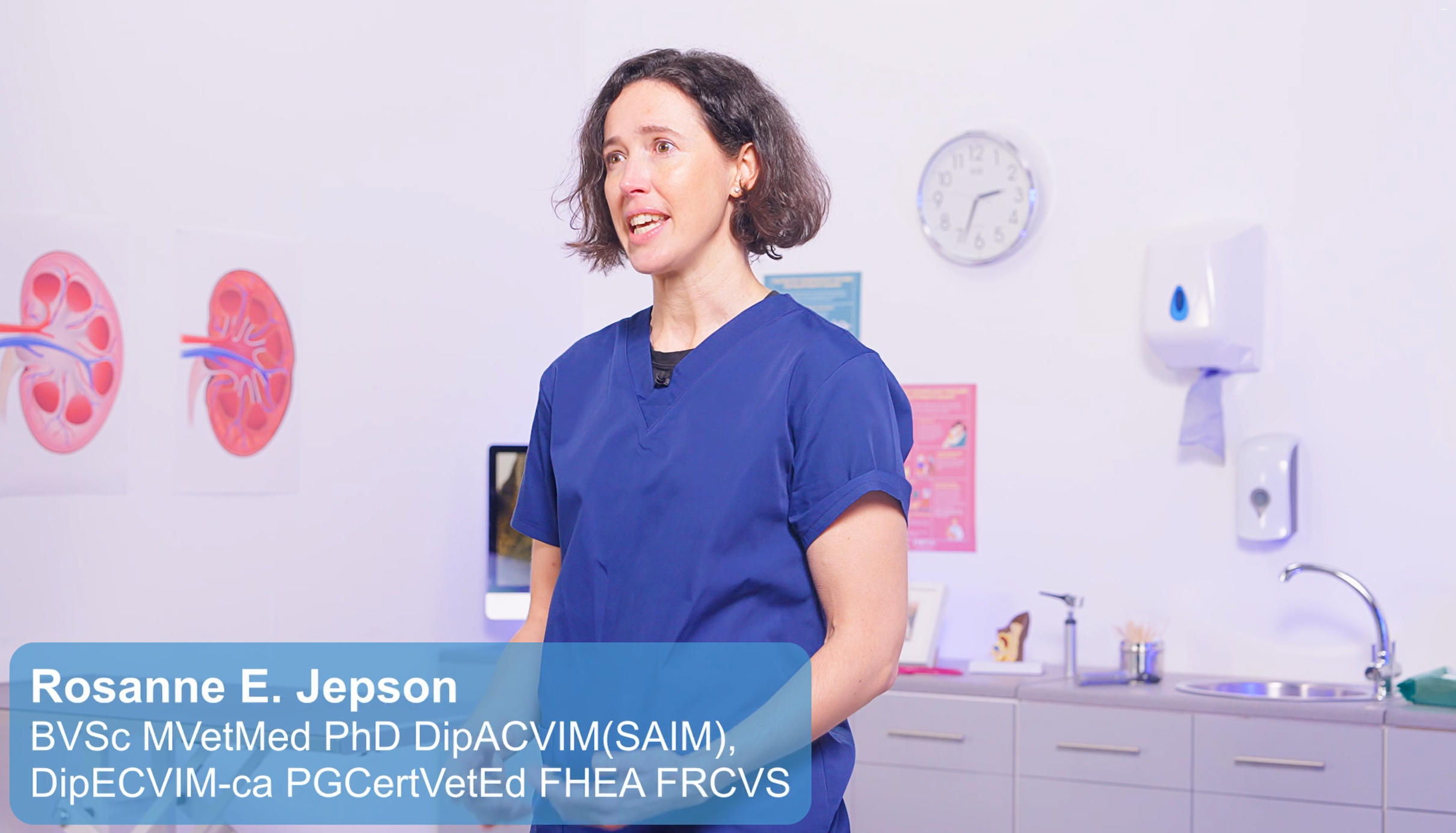 (FREE) Practical Management of Feline Hypertension and Concurrent Disease