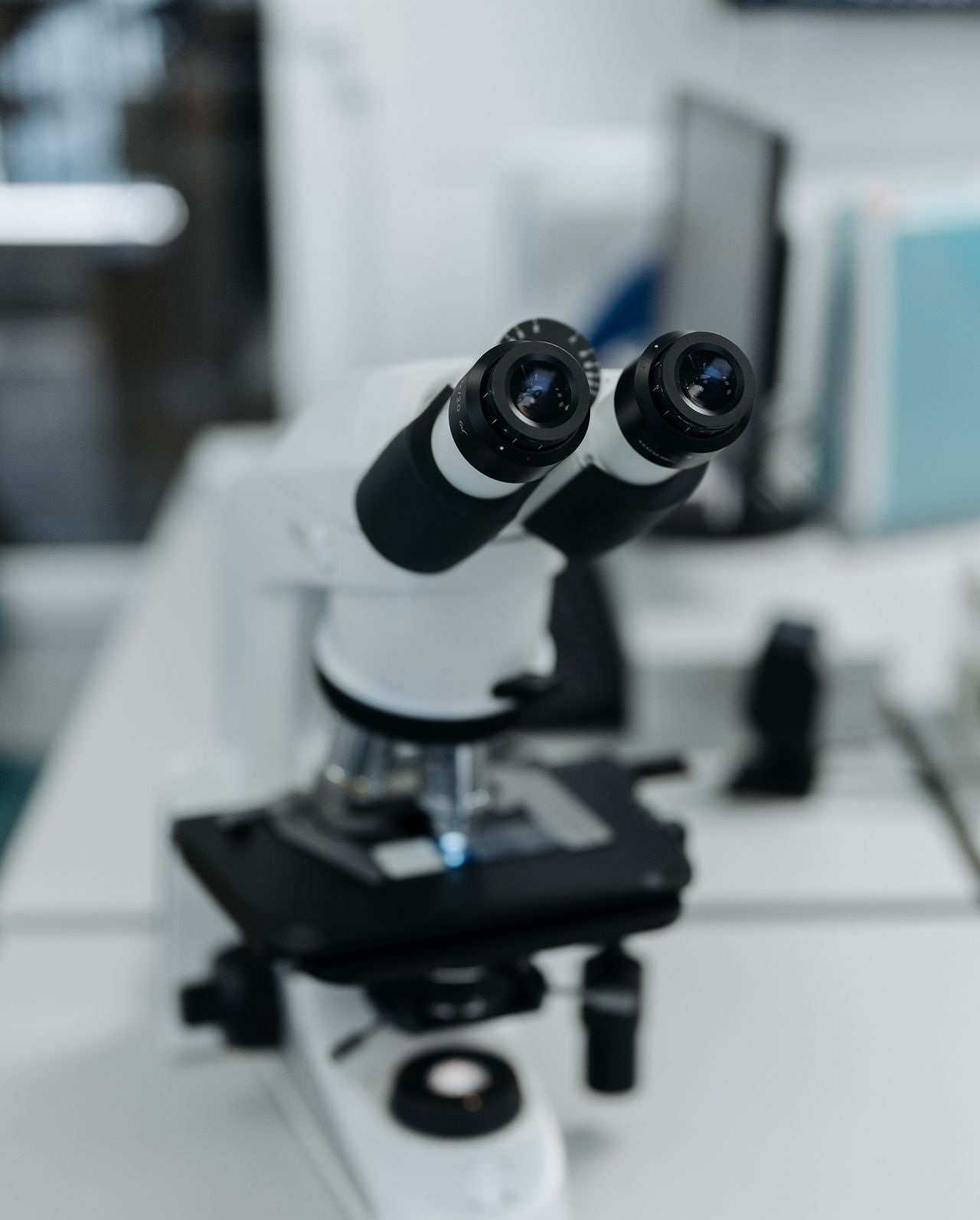 In-house Urinalysis, Ears & Blood Cytology