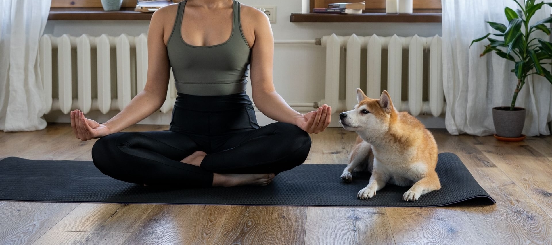 Stand & Stretch Yoga for Veterinary Teams