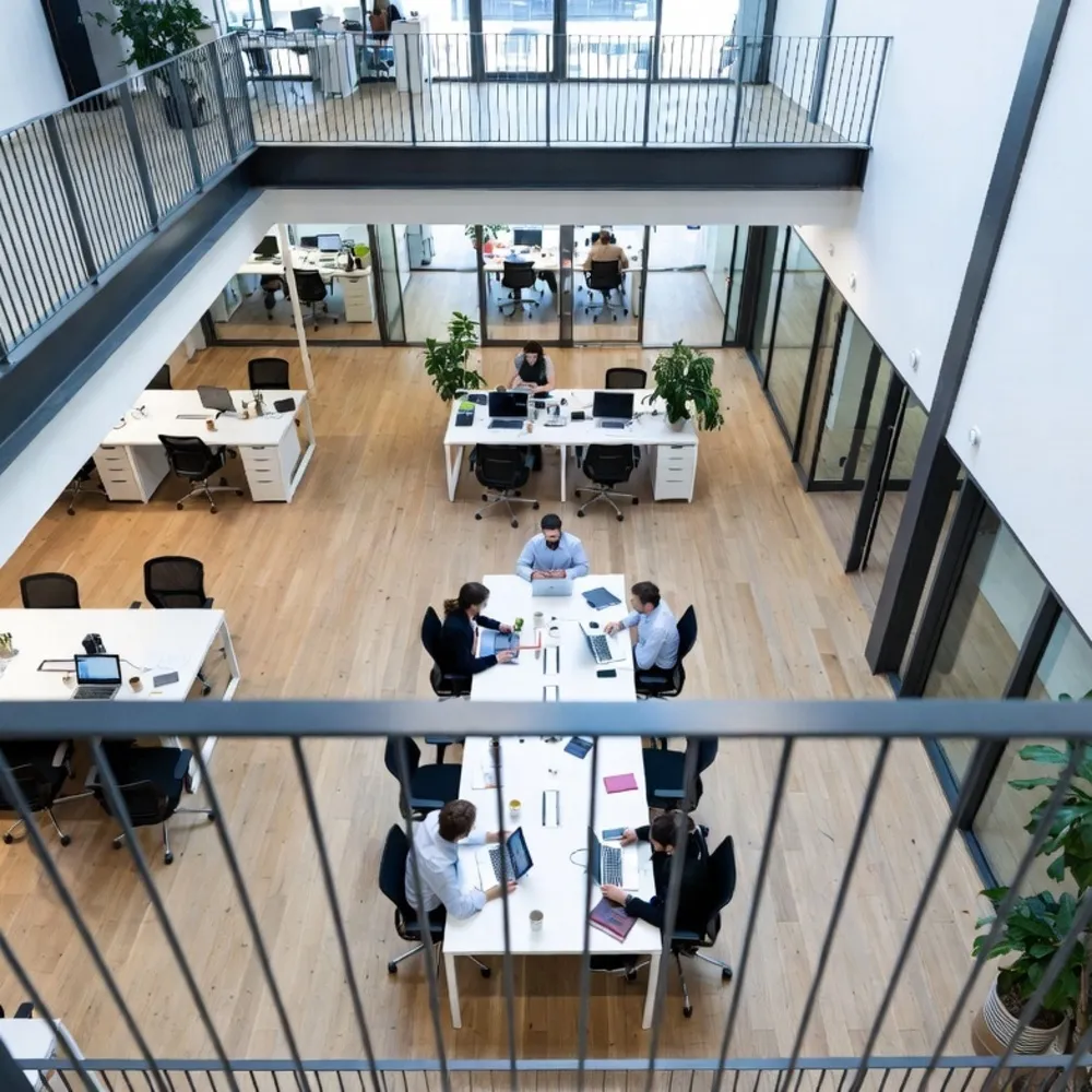 SingleStone for Financial Services