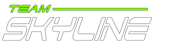 Team Skyline Logo
