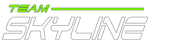 Team Skyline Logo