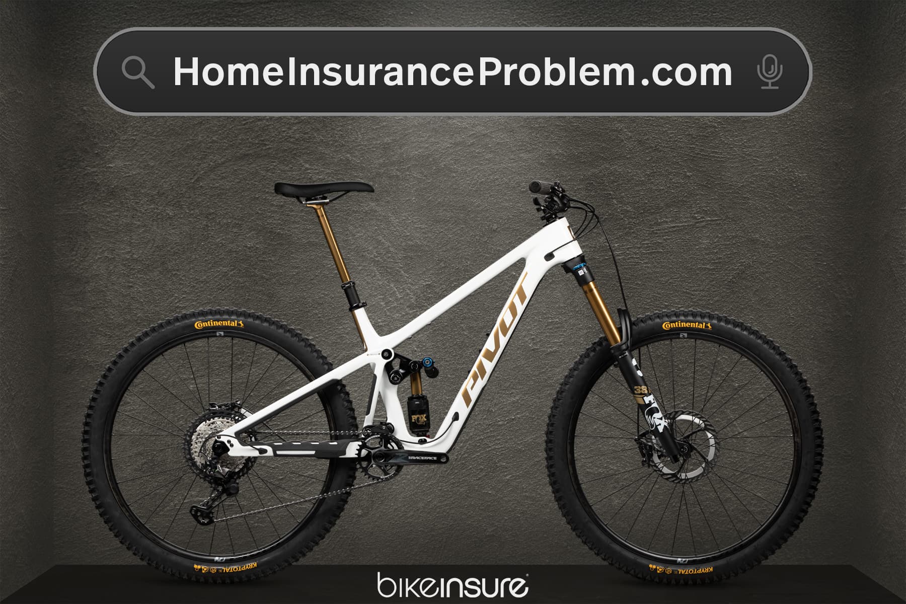 Home Insurance Problem BikeInsure Blog