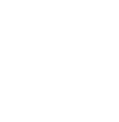 northtowne e-bikes icon