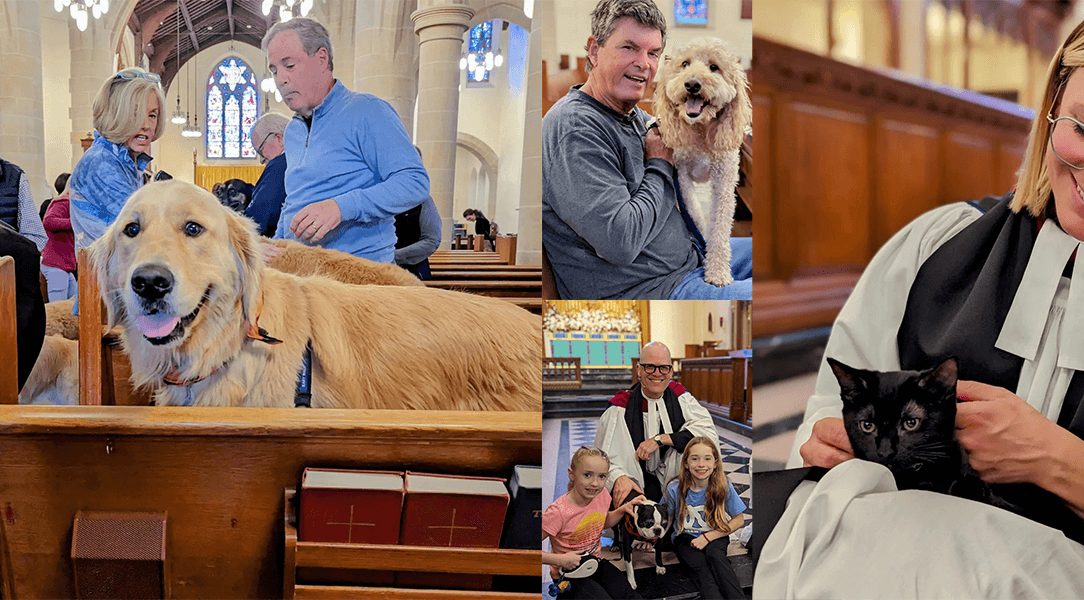 Blessing of the Animals at St. Paul’s
