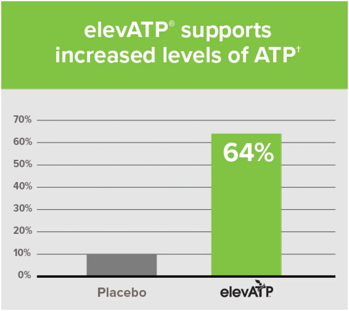 ATP level