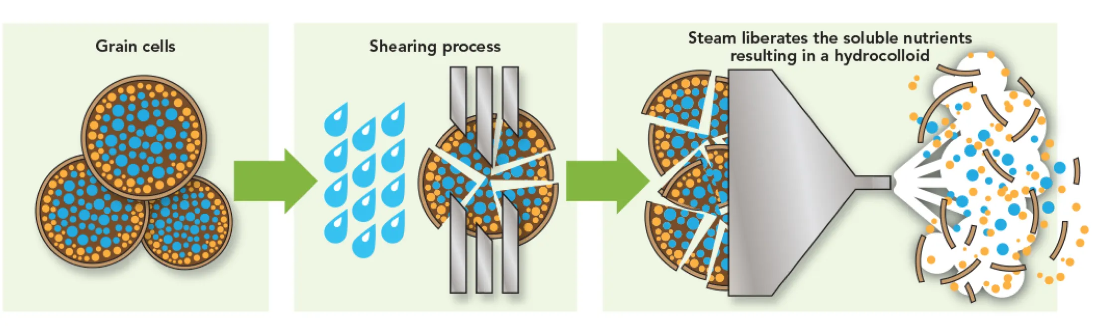 beverage application 
