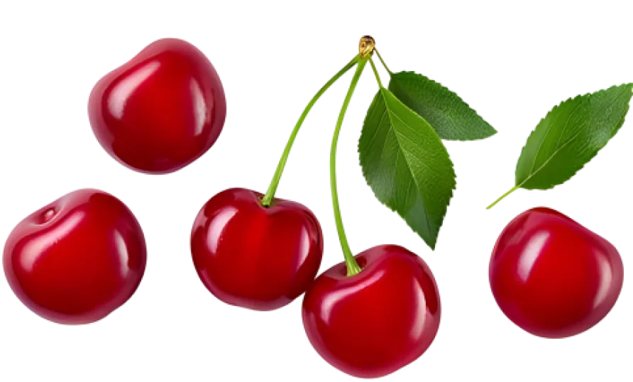 cherry 
