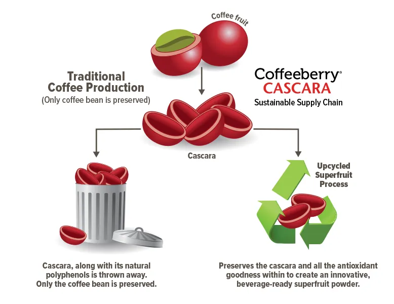 Cascara Upcycle Flowchart