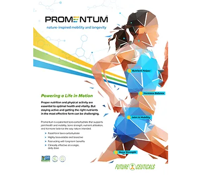 Promentum Banner Img