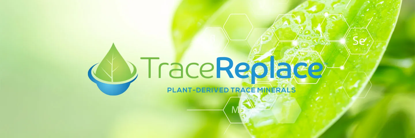 TraceReplace Header Image