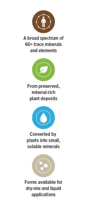 A broad spectrum of 60 trace minerals and elements 