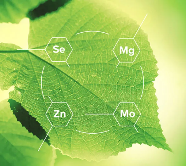 TraceReplace Minerals