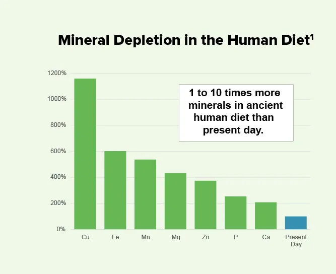 Chart Mineral Depletion in the Human Diet