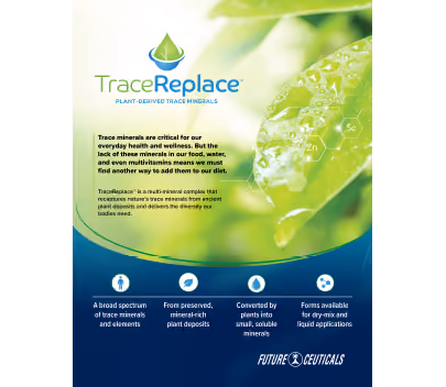 contact brochure 