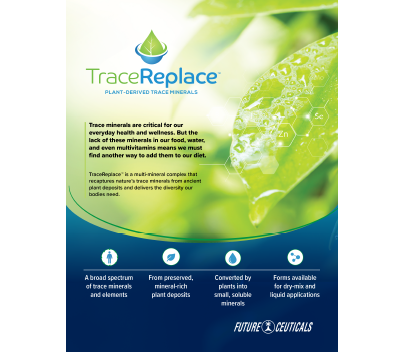 contact brochure 