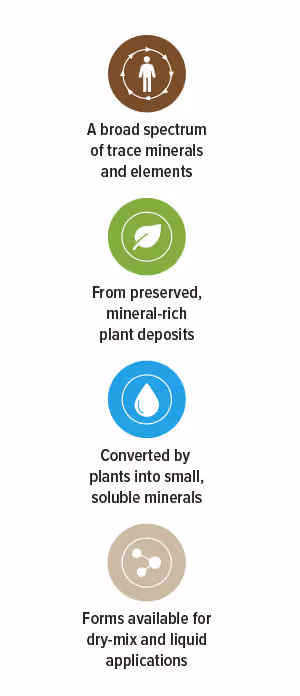 A broad spectrum of 60 trace minerals and elements 