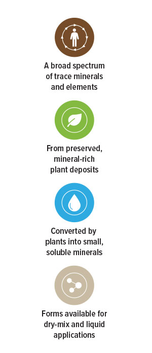 A broad spectrum of 60 trace minerals and elements 