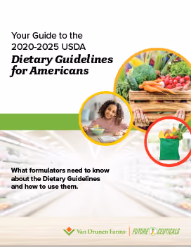 A Guide to the USDA Dietary Guidelines